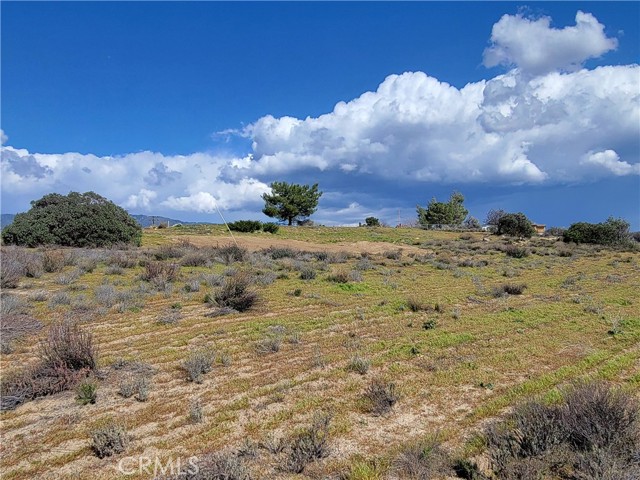 Detail Gallery Image 12 of 14 For 53595 Cave Rock Rd, Anza,  CA 92539 - – Beds | – Baths