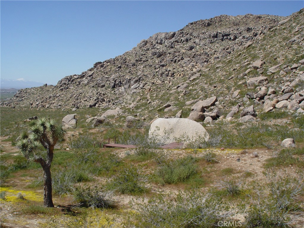 MLS #HD26154562 image #12