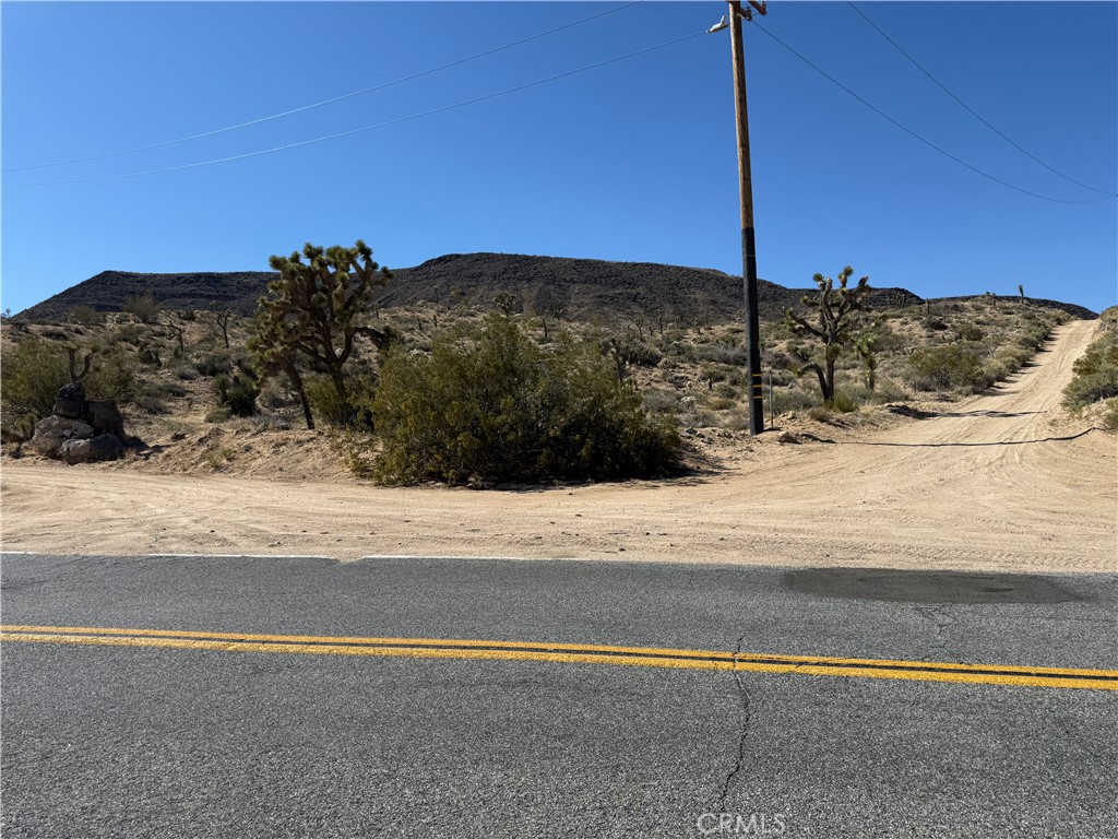MLS #JT25103946 image #4