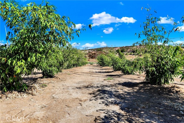 Detail Gallery Image 12 of 25 For 39145 Calle Cordova, Temecula,  CA 92592 - 2 Beds | 1 Baths