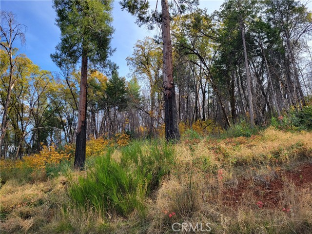 Detail Gallery Image 42 of 45 For 300 Bald Rock Rd, Berry Creek,  CA 95916 - 2 Beds | 1 Baths