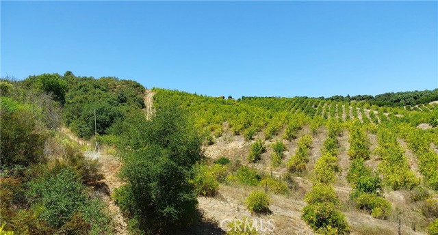 5 De Anza Road, Temecula CA: https://media.crmls.org/medias/c6153667-9999-4746-9a9b-dd78b8ef9fa7.jpg