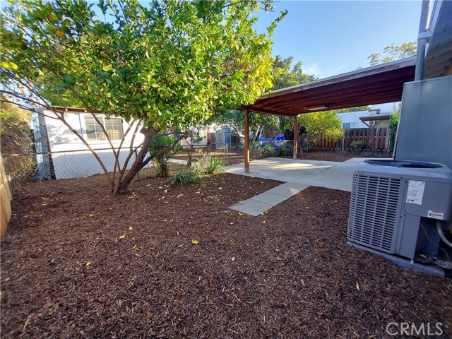 Main house back yard E View