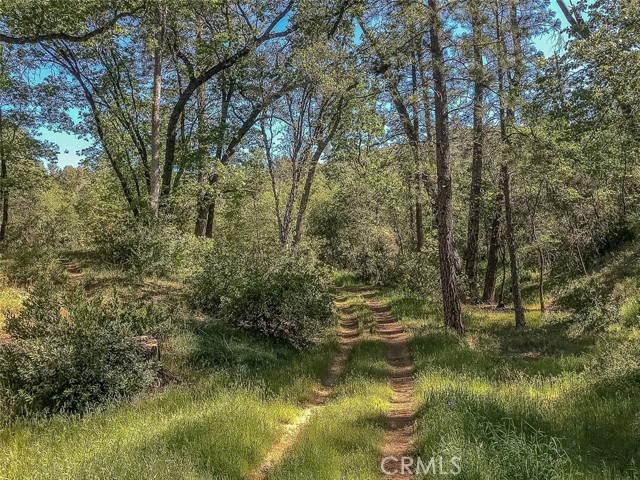 Detail Gallery Image 27 of 43 For 4743 Buffalo Gulch Rd, Midpines,  CA 95345 - – Beds | – Baths