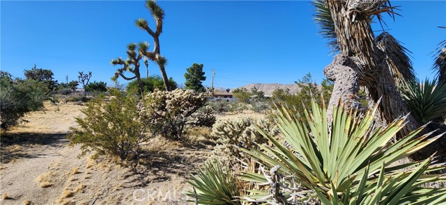 Detail Gallery Image 2 of 5 For 7447 Valley Vista Ave, Yucca Valley,  CA 92284 - – Beds | – Baths