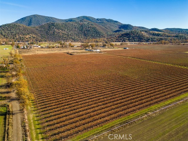 Detail Gallery Image 7 of 26 For 4150 Gaddy Ln, Kelseyville,  CA 95451 - – Beds | – Baths