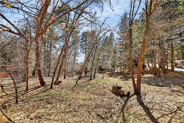 Detail Gallery Image 18 of 23 For 0 Cepu Rd, Running Springs,  CA 92382 - – Beds | – Baths