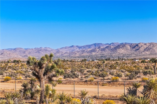 Detail Gallery Image 66 of 75 For 4191 Balsa Ave, Yucca Valley,  CA 92284 - 3 Beds | 3 Baths