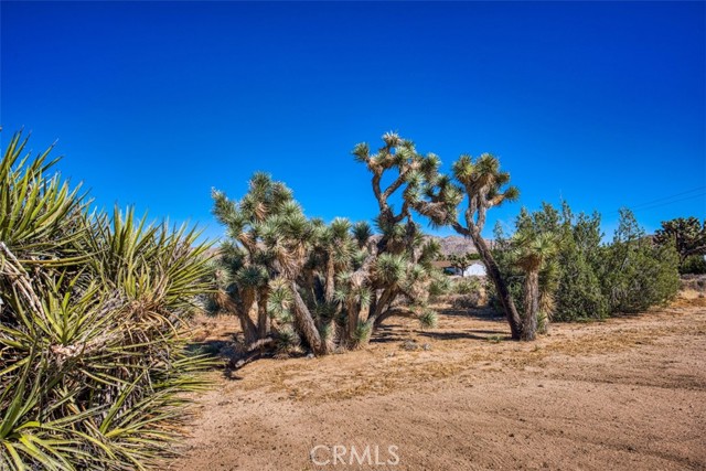 Detail Gallery Image 35 of 37 For 58697 Santa Barbara Dr, Yucca Valley,  CA 92284 - 3 Beds | 2 Baths