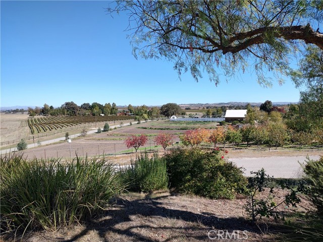 Detail Gallery Image 39 of 41 For 880 Tracy, Templeton,  CA 93465 - 4 Beds | 3/1 Baths