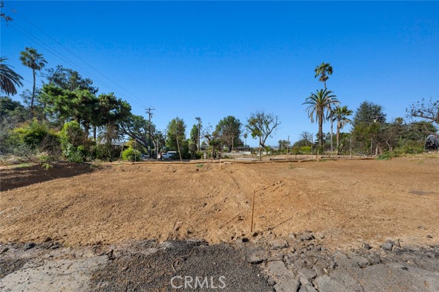 2441 El Molino Avenue, Altadena CA: https://media.crmls.org/medias/c6305288-b262-4f38-a309-807db3ff0518.jpg