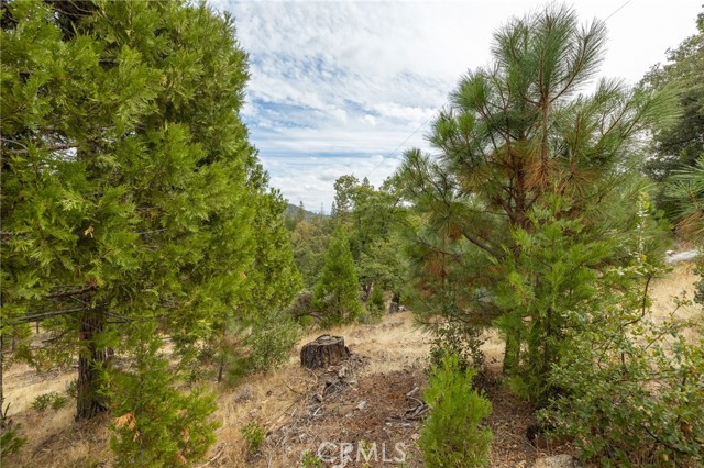 Detail Gallery Image 38 of 55 For 26 Timberview, North Fork,  CA 93643 - – Beds | – Baths