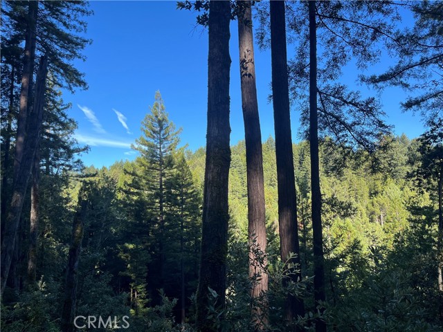 Detail Gallery Image 32 of 40 For 16125 Bittner Rd, Occidental,  CA 95465 - 4 Beds | 2 Baths