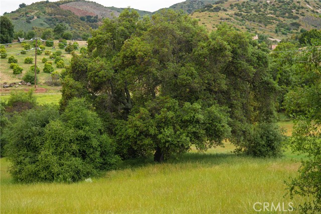 Detail Gallery Image 5 of 6 For 6 Camino Estribo / via Tornado, Temecula,  CA 92590 - – Beds | – Baths