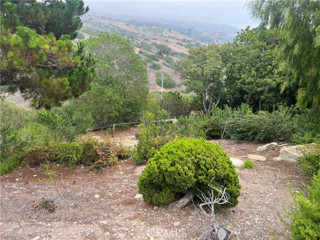 31423 Marne Drive, Rancho Palos Verdes CA: https://media.crmls.org/medias/c63adf87-58f9-464b-bdba-9f9bac851043.jpg