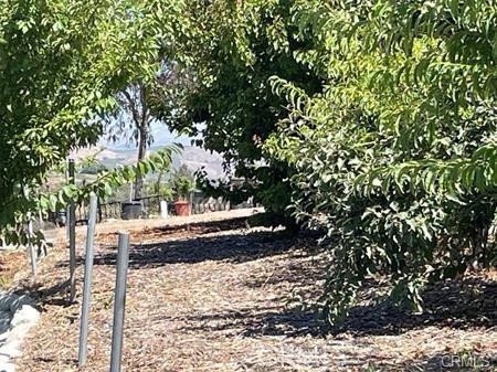 MLS #SR25041031 image #59