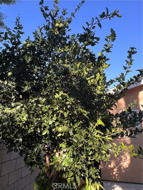 7327 N Loma Verde Avenue, Canoga Park CA: https://media.crmls.org/medias/c64970cb-9255-4e5e-93cd-4a9a470cc511.jpg