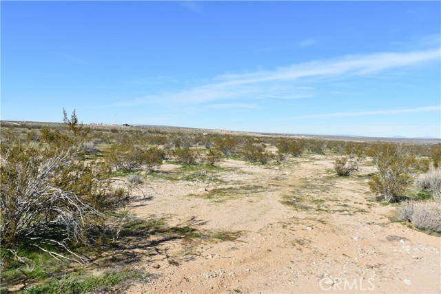 Detail Gallery Image 10 of 31 For 25 Frontier, Helendale,  CA 92342 - – Beds | – Baths