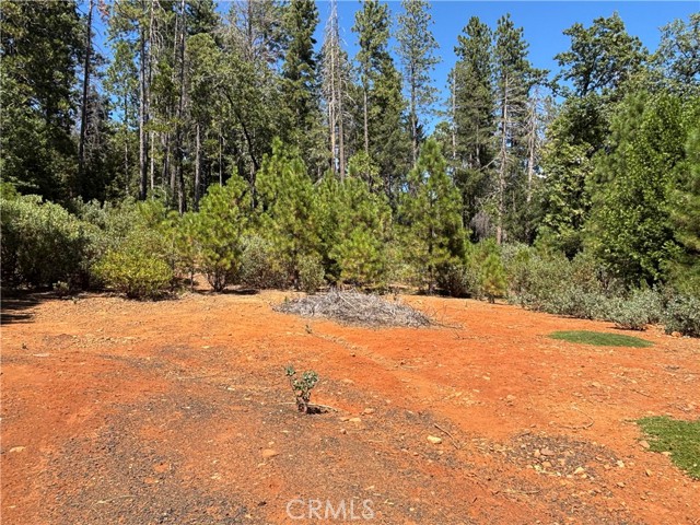0 Via De Maia, Magalia CA: https://media.crmls.org/medias/c64dca21-f9a2-4345-8c1c-362d9593701f.jpg