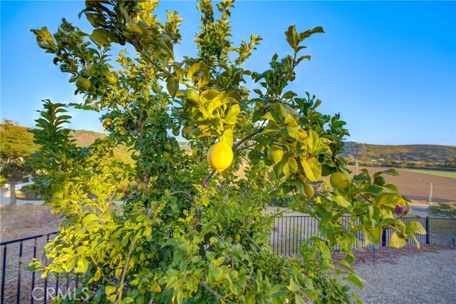 Detail Gallery Image 8 of 55 For 111 Ralph Beck Ln, Arroyo Grande,  CA 93420 - 3 Beds | 3/1 Baths