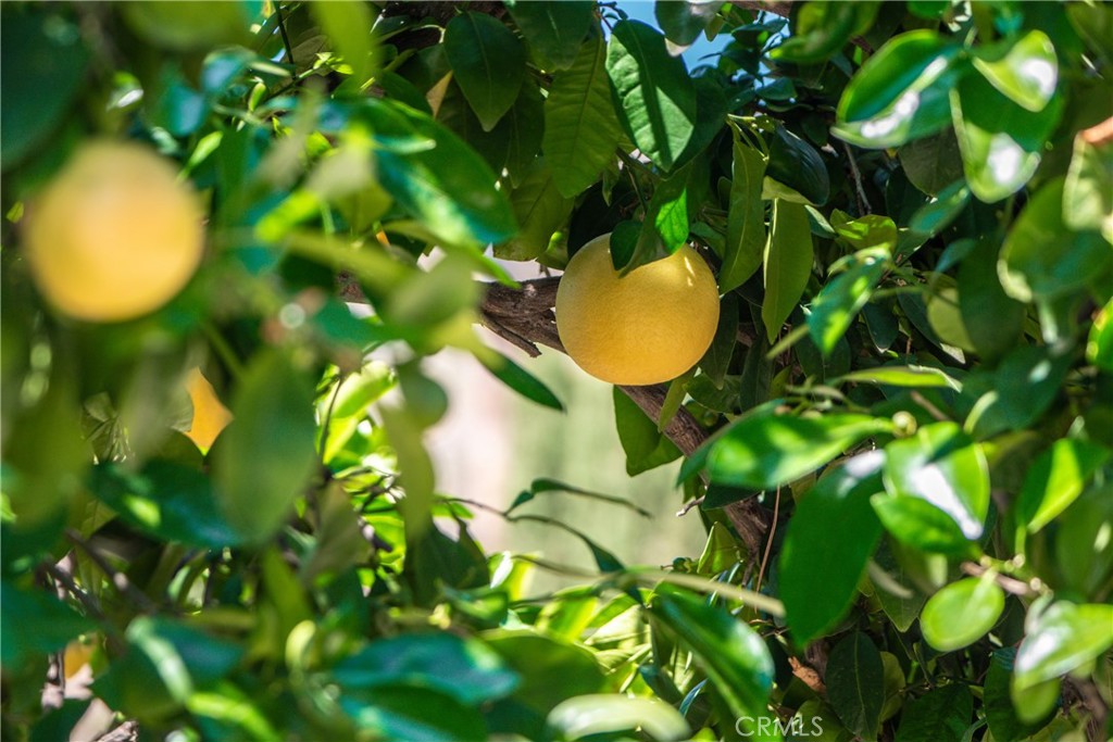 https://media.crmls.org/medias/c6542da2-9189-44f9-baec-cdab92ac001a.jpg?preset=X-Large