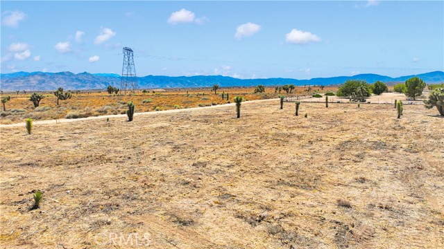 0 Bandicoot Trail, Oak Hills CA: https://media.crmls.org/medias/c6558627-af15-4b19-96c9-b01fddde9bd2.jpg