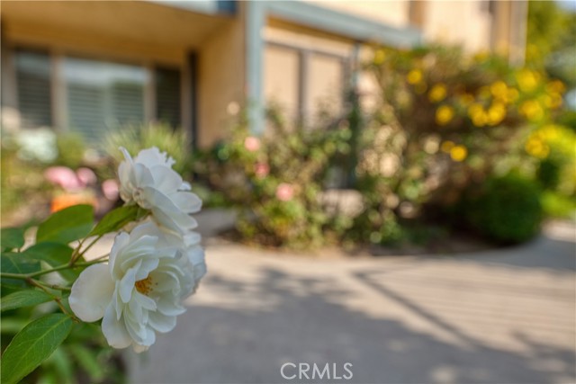 Detail Gallery Image 3 of 26 For 16739 Vanowen St #C,  Van Nuys,  CA 91406 - 2 Beds | 2 Baths