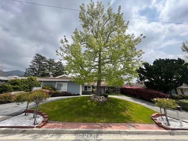 REDUCTION! REDUCTION! NOT 20K, NOT 40K, BUT 60K!! Don't miss this opportunity now!  Amazing Location in one of the most desirable La Crescenta Neighborhoods, in a Cul-De-Sac, This tastfully 2015 remodeled home built in 1961  has Fantastic flow and incredible areas for gathering around both inside and out. A spacious and yet cozy home welcomes you to a Living Room and Dining area with Fireplace to gather for those cold nights. Engineered Hardwood Floors, Entertainers Kitchen with Bay Window in Family Room with a Wine Bar and Beverage Refrigerator space to enjoy.  The Master Bedroom with Bay Window invites in the Backyard, Master Bath with Dual Sink and a Jaccuzi Bath Tub. Tankless Water Heater and  Recess Lighting with Dimmers, The Backyard Beautifuly Filled with Tangerine, Oranges, Lemon and Fig Trees. Japanese Maple , Japanese Magnolia, and Crepe Myrtle Trees, Azaleas, multiple Camellias, pretty Purple Wisteria Vine. Something in Bloom all Year Round. This property has been maticulously maintained cared for. Convenient Location within Highly Acclaimed Public Shcools.  DON'T WAIT! Make this your Home Sweet Home!