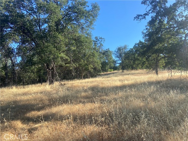 0 State Hwy 140, Mariposa CA: https://media.crmls.org/medias/c658fc50-cbd9-49fa-a4da-a16533c34f41.jpg