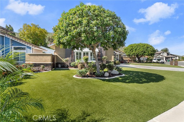 Detail Gallery Image 33 of 42 For 16825 Winterbrook, Riverside,  CA 92503 - 3 Beds | 2/1 Baths