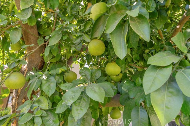 Detail Gallery Image 36 of 45 For 72834 Fleetwood, Palm Desert,  CA 92260 - 3 Beds | 2 Baths