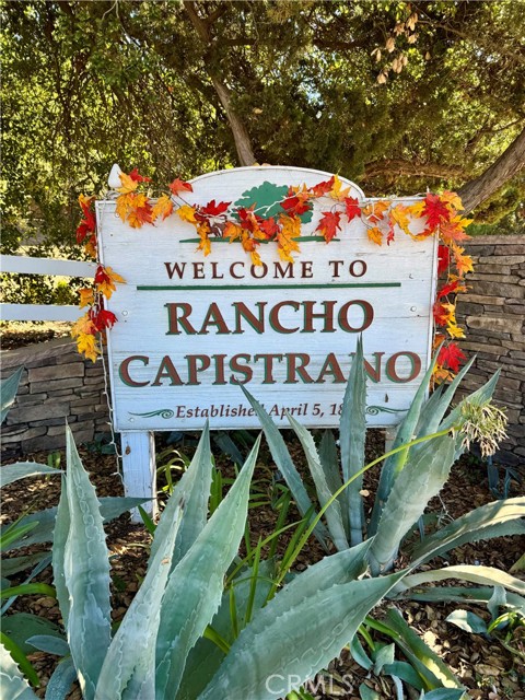 Front Image Thumbnail for CROC25262578