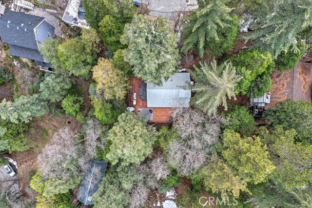 582 Rose Lane, Twin Peaks CA: https://media.crmls.org/medias/c6683249-97b0-462d-b34a-9a34bbb0d85b.jpg