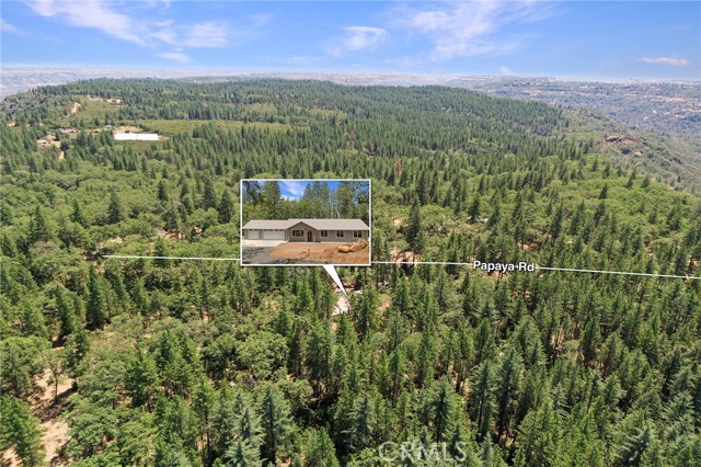 Detail Gallery Image 66 of 71 For 4901 Papaya Rd, Forest Ranch,  CA 95942 - 3 Beds | 2 Baths