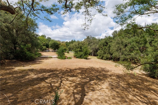 Image 53 of 70 For 8 Palomino  