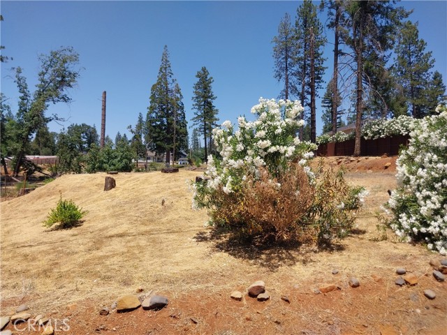 1667 Wagstaff Road, Paradise CA: https://media.crmls.org/medias/c66d3bd9-1cda-4a01-8d8f-7a0890374cfb.jpg