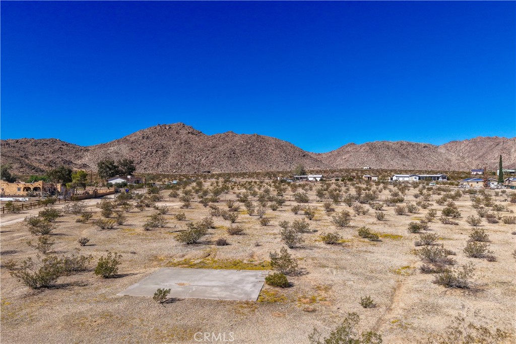 MLS #JT25246885 image #9