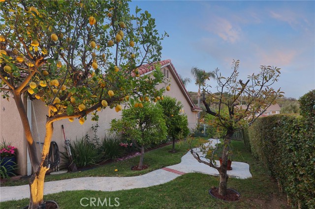 24632 Stagg Street, West Hills CA: https://media.crmls.org/medias/c6751ae9-156e-4dd4-8fc1-8ec8375280e8.jpg