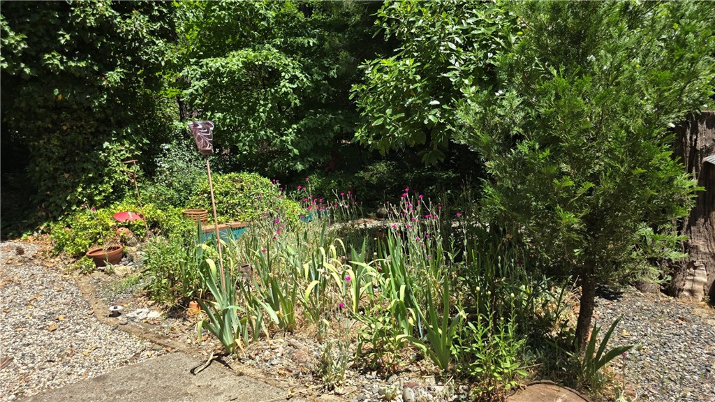 C679Dce8 176F 4Df6 Bf06 9747C63369D9 14568 Holmwood Drive, Magalia, Ca 95954 &Lt;Span Style='BackgroundColor:transparent;Padding:0Px;'&Gt; &Lt;Small&Gt; &Lt;I&Gt; &Lt;/I&Gt; &Lt;/Small&Gt;&Lt;/Span&Gt;