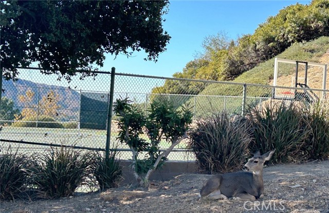 Detail Gallery Image 48 of 48 For 3828 Sky View Ln, La Crescenta,  CA 91214 - 5 Beds | 4 Baths