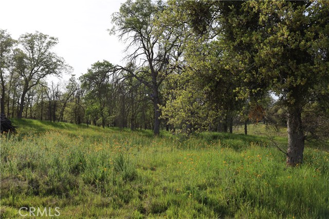 Detail Gallery Image 26 of 32 For 0 Douglas Rd, Coarsegold,  CA 93614 - – Beds | – Baths