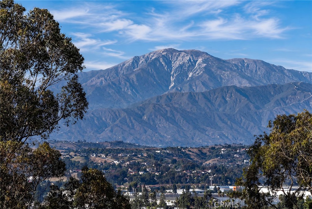 https://media.crmls.org/medias/c6841b16-52b4-448e-9c13-9c41a236d3d5.jpg?preset=X-Large