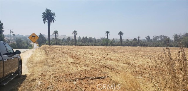 1246 Washington Street, Riverside, California 92506, ,Commercial Lease,For Rent,1246 Washington Street,CRAR24040255