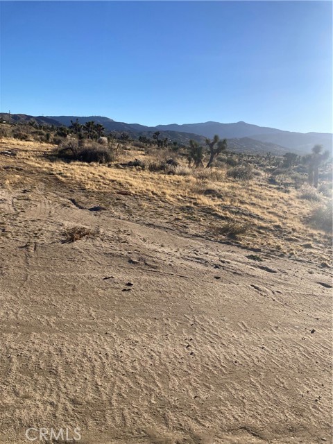 Front Image Thumbnail for CRCV26051232