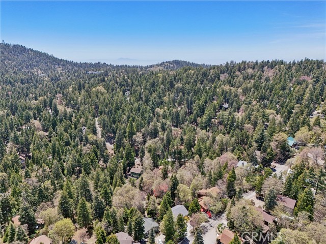 Detail Gallery Image 58 of 59 For 385 Iris Dr, Twin Peaks,  CA 92391 - 4 Beds | 3 Baths