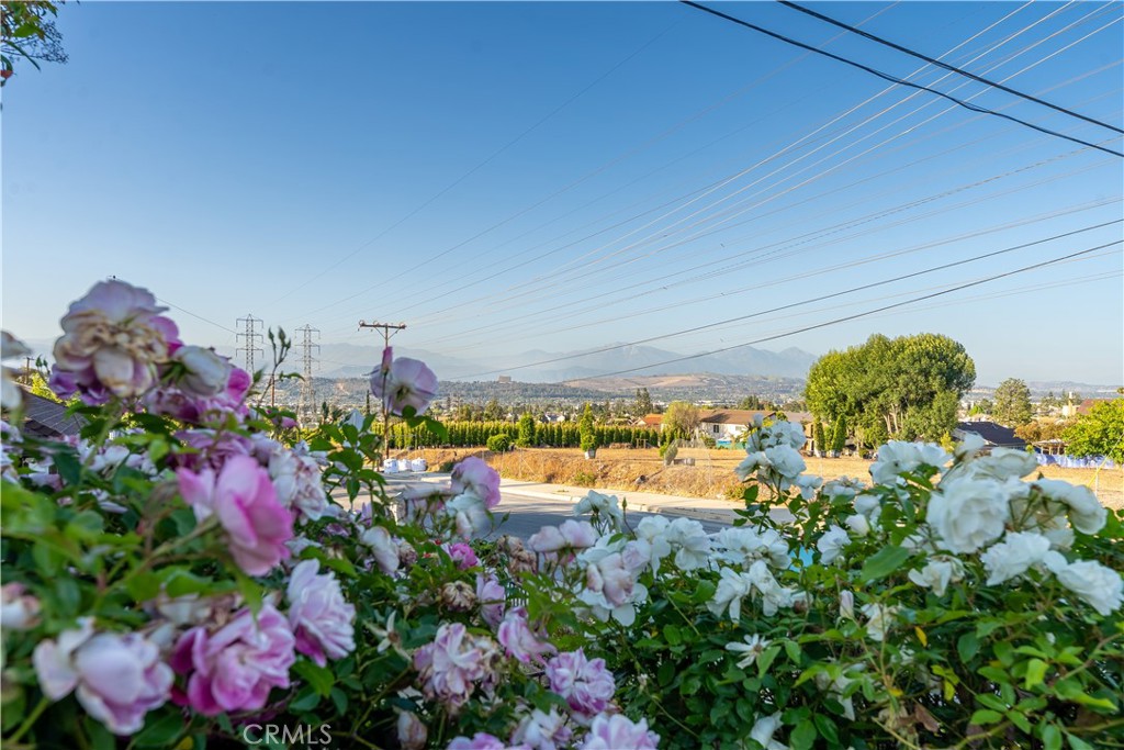 https://media.crmls.org/medias/c690a446-1437-4a89-ae25-4558bdec0b23.jpg?preset=X-Large