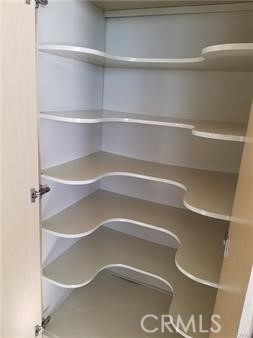 Large Pantry with Lots of Shelves