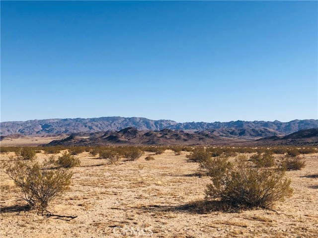 Detail Gallery Image 10 of 12 For 46 Desert Lily St, Joshua Tree,  CA 92252 - – Beds | – Baths