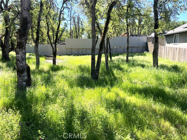 Front Image Thumbnail for CRLC26040045