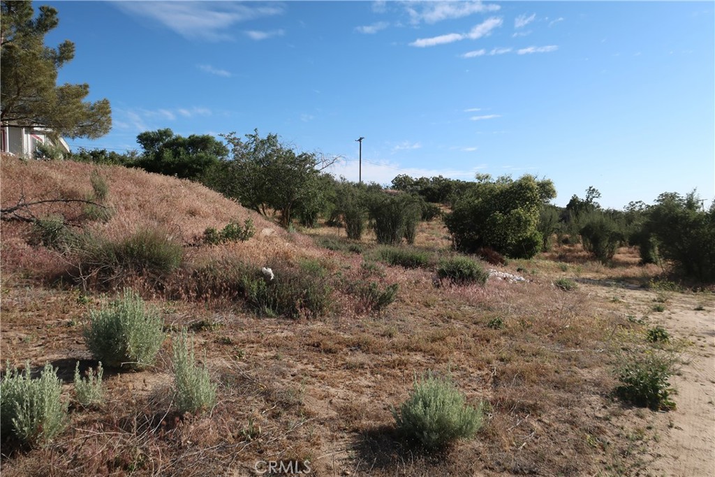 59995 Granite Gulley Road